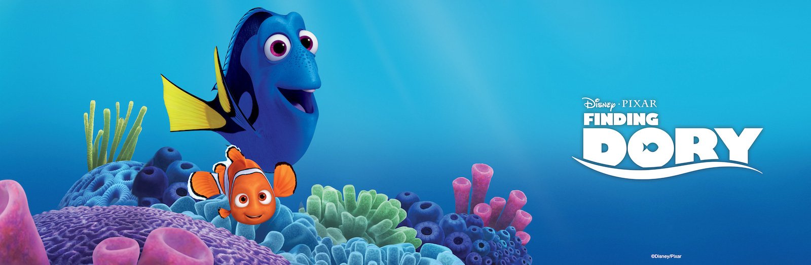 Dory and Nemo