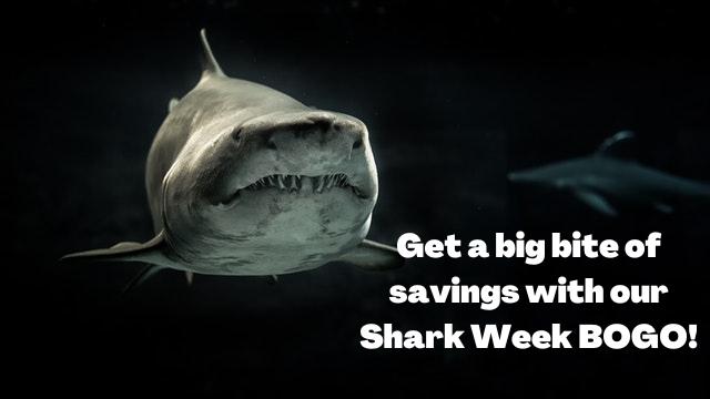 All of the sharks